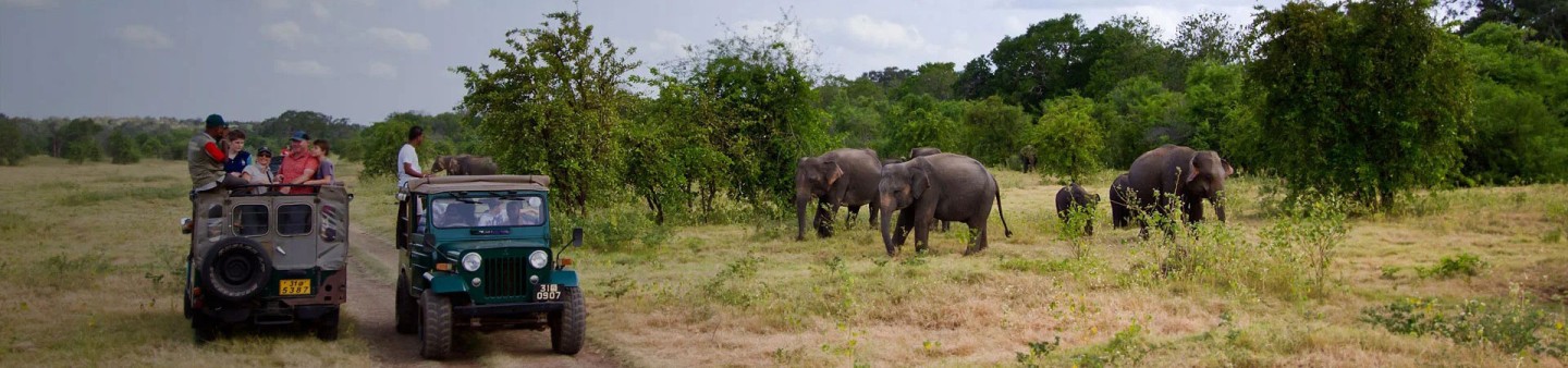 Sri Lanka