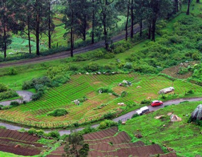 Bangalore Mysore Ooty Tour