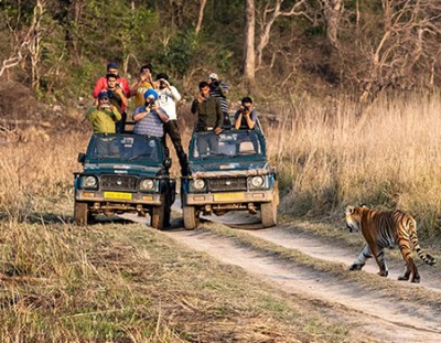 Corbett and Mussoorie Tour